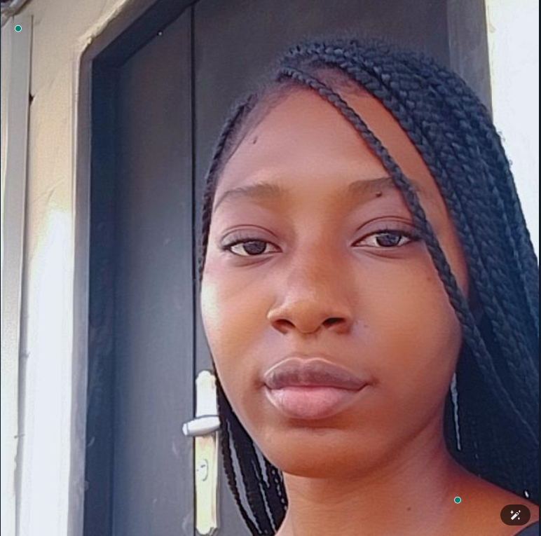 screenshot 2025 04 16 101315